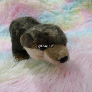 💕 Doll ตุ๊กตา Ark Toys 💕 ตุ๊กตานาก Otter นากเหมือนจริง Premier Collection ตุ๊กตาสัตว์ เหมือนจริง หายาก