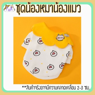 เสื้อหมา เสื้อแมว ชุดสัตว์เลี้ยง pet costume