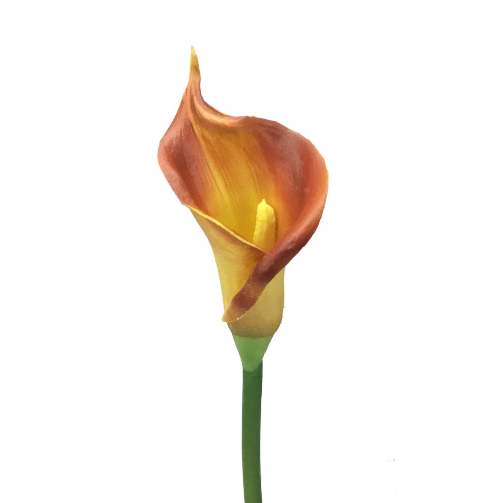 ดอกคาล่าลิลลี่ Artificial Calla lily สีส้ม ดอกไม้ประดิษฐ์เกรดพรีเมี่ยม งานพียู สวยเหมือนจริง ราคา ถูกที่สุด ดีลบีเคเค แกลเลอรีภาพที่ 2