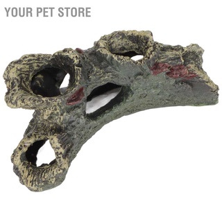 Your Pet Store กล่องเรซิ่น ฉลุลาย สําหรับตู้ปลา และสัตว์เลื้อยคลาน