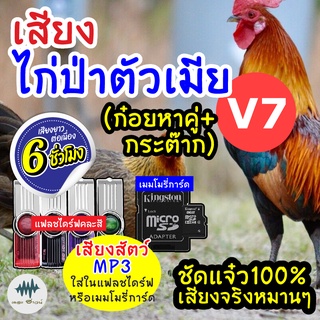 (MP3 เสียงต่อสัตว์) เสียงไก่ป่าเมียV.7 [6ชั่วโมง] ใส่แฟลชไดร์ฟ/เมมโมรี่ มีเก็บเงินปลายทาง เสียงดี ชัด100% ไม่มีโฆษณาแทรก