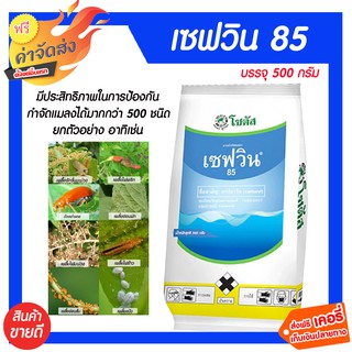 เซฟวิน85 500 กรัม กำจัดแมลงได้หลากหลายชนิดทั้งเพลี้ยไฟ เพลี้ยแป้ง เพลี้ยอ่อนและแมลงปีกแข็ง