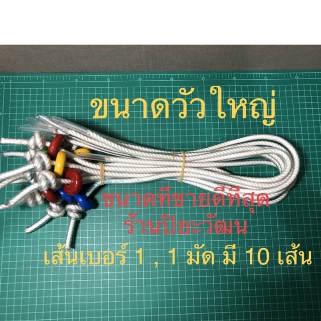 หวิงวัว เชือกจมูกวัว เบอร์ 1 ขนาดใหญ่ สนตะพายวัว หวินวัว เวียนวัว ขายเป็นมัด