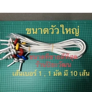 หวิงวัว เชือกจมูกวัว เบอร์ 1 ขนาดใหญ่ สนตะพายวัว หวินวัว เวียนวัว ขายเป็นมัด