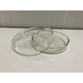 จานเพาะเชื้อแก้ว  Petri dish Soda glass 15x90 mm