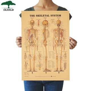 Dlkklb สติกเกอร์โปสเตอร์ ลายโครงกระดูก สไตล์วินเทจ สําหรับตกแต่งผนังบ้าน 42x30 ซม.