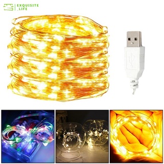  ไฟ LED String/10M 5M 3M 2M/เงิน ลวด ไฟนางฟ้า/Home Christmas งานแต่งงาน ของตกแต่งงานปาร์ตี้/โดย USB Beautiful