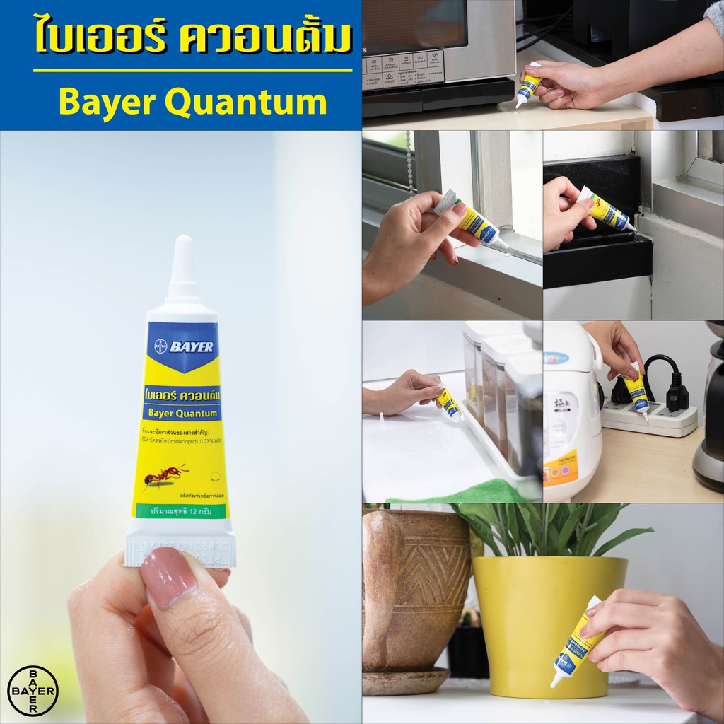 Quantum เจลกำจัดมด ควอนตั้ม 12 กรัม - 3