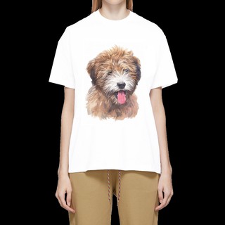 เสื้อลายหมา DTT006 tibetan terrier เสื้อยืด เสื้อยืดลายหมา เสื้อยืดสกรีนลายหมา