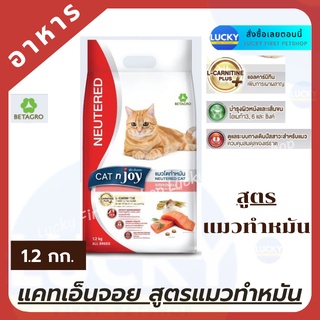 อาหารแมวทำหมัน Cat n joy Neutered แค็ท เอ็นจอย สูตรแมวโตทำหมัน รสแซลมอน 1.2 กก. อาหารแมว