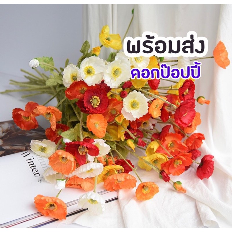 My Image 50