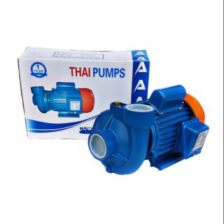 ปั้มน้ำหอยโข่ง ปั้มน้ำ ปั๊มน้ำมอเตอร์ ปั๊มน้ำหอยโข่ง 2" 2 HP. THAI PUMP  AS888