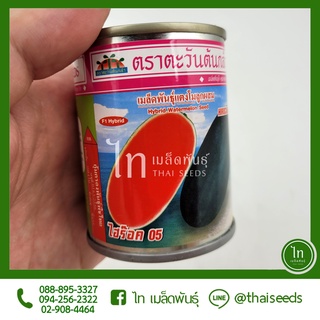 แตงโม ไฮร๊อค 05 เมล็ดพันธุ์ แตงโม ไฮร๊อก ตรา ตะวันต้นกล้า บรรจุ 40 กรัม