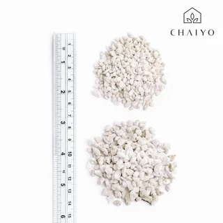 เพอร์ไลท์ แบ่งขาย 3 ลิตร Perlite 3L