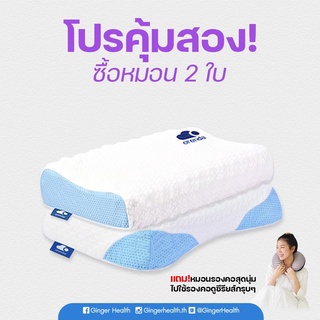 Duo Set หมอนผู้ใหญ่ 2 ใบ (รับฟรีหมอนรองคอ 1 ใบ มูลค่า 290 บาท)