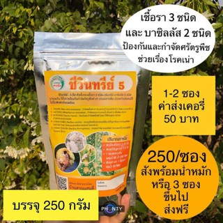 ชุด3ซอง ชีวินทรีย์5ป้องกันและรักษาโรคเชื้อราทางใบ ป้องกันและกำจัดหนอนเพลี้ยแมลงต่างๆแบบชีวภาพ