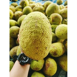 สาเกเชื่อมสาเกข้าวเหนียวหนึบหนับอร่อยหวานน้อย..500กรัม