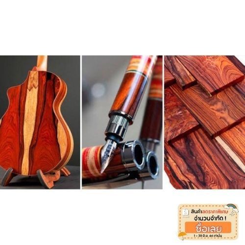 เมล็ดพันธ์ Cocobolo ชื่อวิทยาศาสตร์ Dalbergia retusa 1 ชุดมี30ราคาชุดละ500บาท อัตราการงอก 80-90%