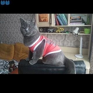『27Pets』 เสื้อกั๊กบาสเก็ตบอล ระบายอากาศ แฟชั่นฤดูร้อน สําหรับสัตว์เลี้ยง สุนัข แมว