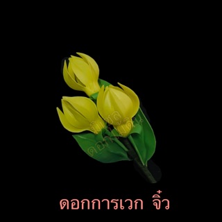 ดอกการเวก ดินไทย สีเหลือง