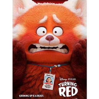 การ์ตูน Turning Red เขินแรงแดงเป็นแพนด้า (2022) DVD 1 แผ่น