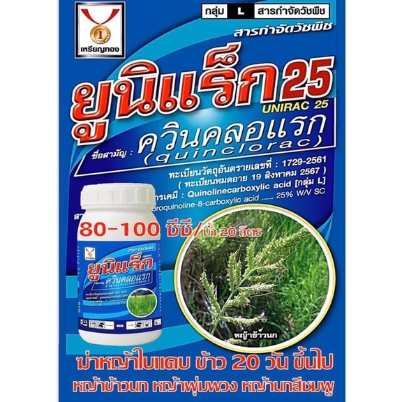 ฆ่าหญ้า หญ้าใบแคบ ใบแหลม หญ้าข้าวนก หญ้าพุ่มพวง ดอกขาว หญ้าเหมือนข้าว หญ้านาข้าว ยูนิแร็ก25 ควินคลอแรก Free จับใบเกรดA