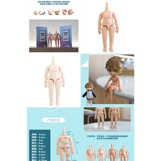 [preorder]valii body