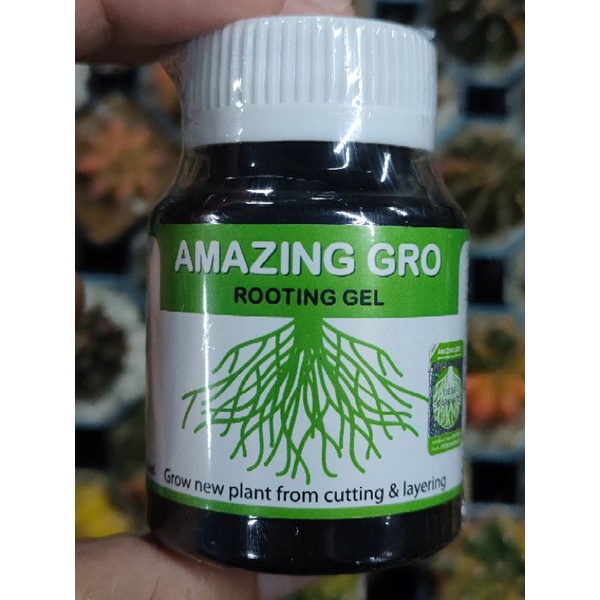 Lot ใหม่ล่าสุด! Cake Cactus Farm เจลเร่งราก ยี่ห้อ Amazing gro