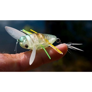 Duo Realis Shinmushi Cicada Bug