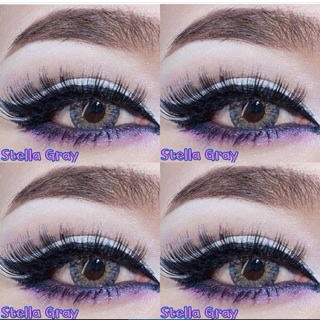 คอนเเทคเลนส์ สี Stella gray