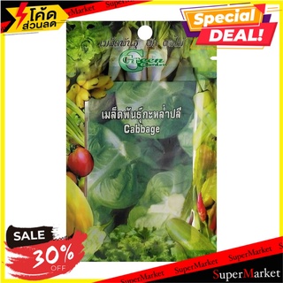 เมล็ดพันธุ์กะหล่ำปลี กรีน การ์เด้น เมล็ดพันธุ์ CABBAGE SEED GREEN GARDEN ต้นไม้และเมล็ดพันธุ์