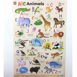 AFK โปสเตอร์​ หุ้มพลาสติก ABC ANIMALS (แบบเก่า)(ของมีตำหนิ)