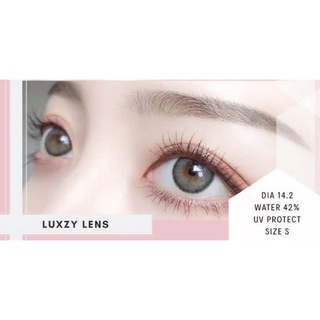 LightlyRoseGrayLuxzyLensคอนแทคเลนส์แบบดิวอริศราContactlensLuxzy