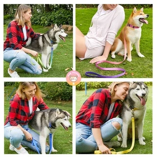พร้อมส่งจากไทย ปลอกคอสุนัข QQPETSรุ่นพรีเมี่ยม ไล่โทนสี สวยมาก C005