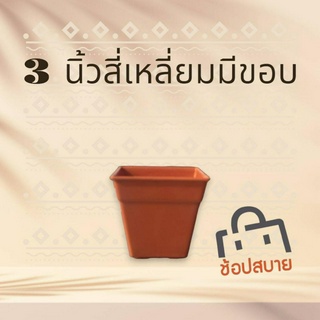 กระถางปลูกต้นไม้ สี่เหลี่ยม 3 นิ้ว (มีขอบ) แพ็ค 100 ใบ มีให้เลือก 3 สี