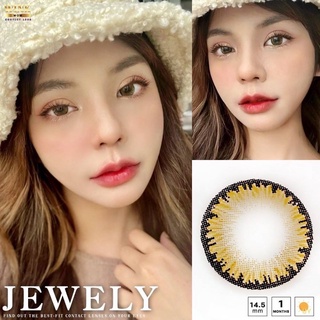 ✨ Jewely brown chestnut (Wink lens) ขนาดโต บิ๊กอาย  ☀️กรองแสง uv ✔️เลนส์แท้จดทะเบียนถูกต้อง (บิ๊กอาย คอนแทคเลนส์Bigeye)