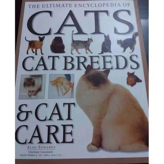 Cats cat breeds &amp; cat care