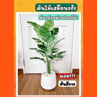 สินค้าใหม่ ต้นกล้วยด่างฟลอริด้า สูง 70cm ต้นไม้ปลอม ต้นไม้ปลอมตกแต่งบ้าน พร้อมส่ง