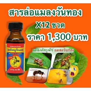 สารล่อแมลง เมทิลยูจินอล (METHYL EUGENOL)ดักจับแมลงวันทอง ขนาด 30ซีซี*12ขวด ราคา 1300