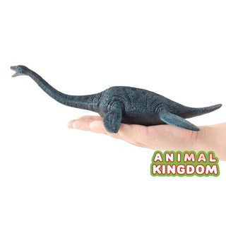 Animal Kingdom - โมเดลไดโนเสาร์ Plesiosaurus ขนาด 30.00 CM (จากหาดใหญ่)