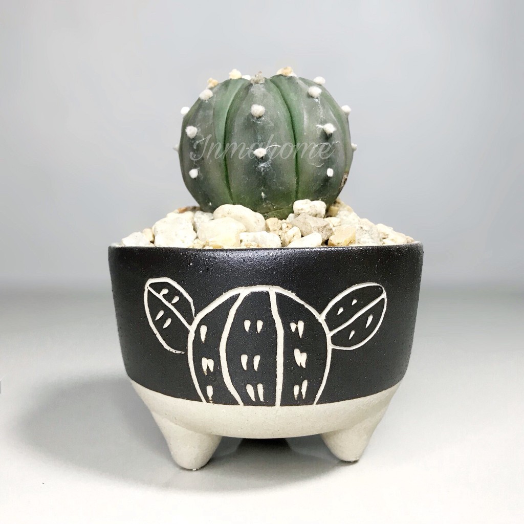 กระถางสามขา 3.5 นิ้ว แกะลาย กระถางเซรามิค l Three legged pots l 3 legged planter l กระถางต้นไม้ l กร