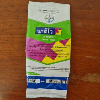 นาติโว®75 ดับบลิวจี® สาร ทีบูโคนาโซล (tebuconazole ) + ไตรฟลอกซีสโตรบิน (trifloxystrobin)50 % + 25 % WG ขนาด 250 กรัม