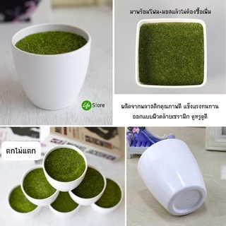 กระถาง/แจกัน พลาสติกคุณภาพดี มาพร้อมโฟม+มอส (พร้อมส่งในไทย ถึงเร็วทันใจ)