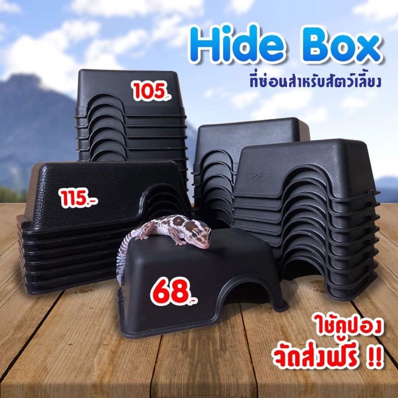 Hide box ที่ซ่อนสำหรับสัตว์เลี้ยง พลาสติก