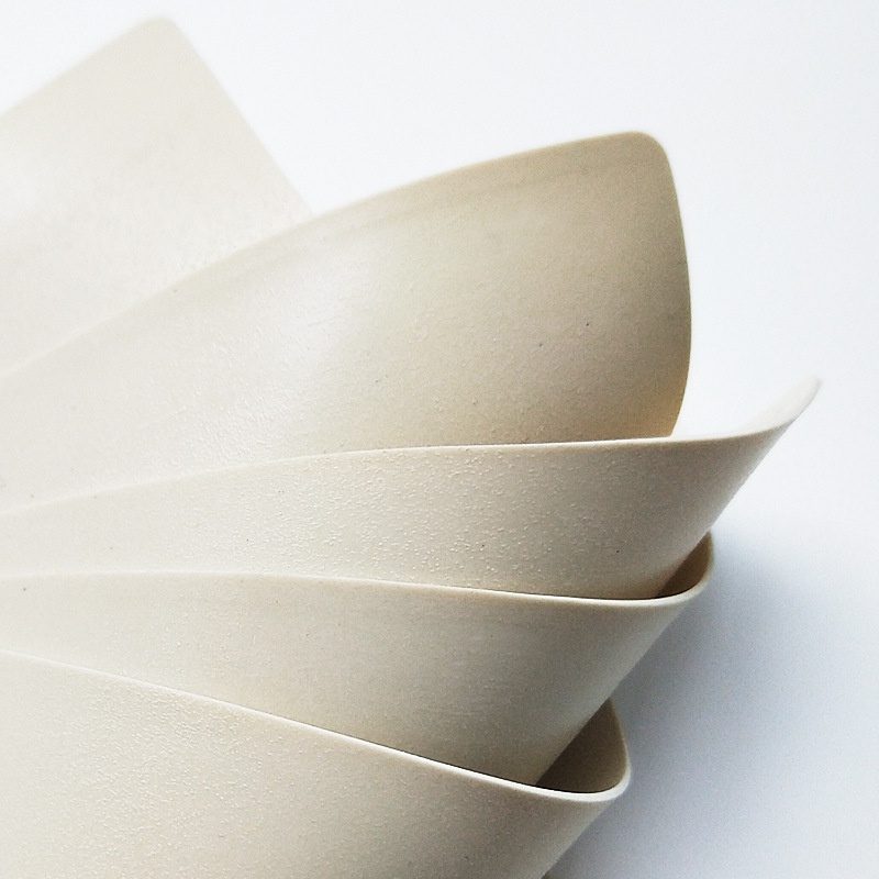 10ชิ้น หนังเทียมฝึกสัก หนังเทียมสัก แผ่นหนังเทียมเพื่อใช้ฝึก หนังสักเทียมผิวปลอมสำหรับฝึกงานสักทุกชนิด - รูปที่ 5