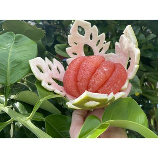 ราคา(pomelo fruit) ส้มโอทับทิมสยาม ไซร้ 1.1 ก.ก(ส้มตลาด)