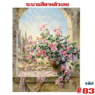 83 💥 ขึงเฟรมไม้ 💥 พร้อมส่ง DIY Paint Number รูปวาด ของขวัญ ภาพวาดระบายสี ภาพวาดสีน้ำมัน ภาพระบายสีตามตัวเลข ตกแต่งผนัง