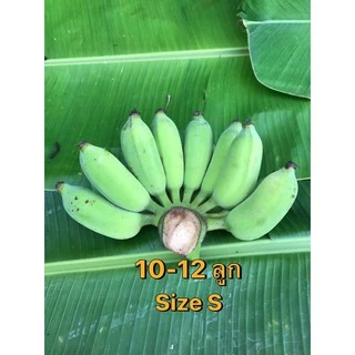 กล้วยน้ำว้า ปลอดสาร เมืองเพชร (ตัดสด พร้อมส่ง ตามออเดอร์) 🍌เริ่มต้น หวีละ 35บ.