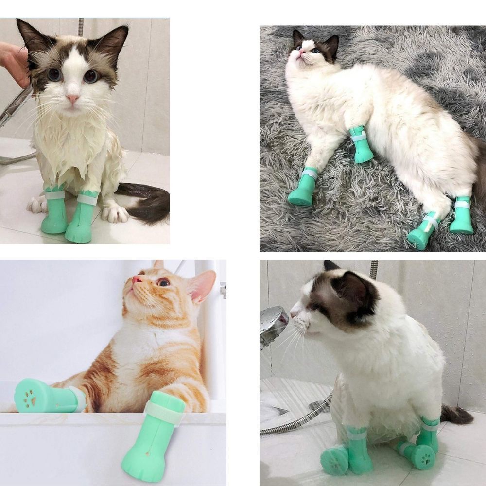 รูปภาพ 6