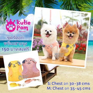 Kutiepom ชุดรัดอกพร้อมสายจูงน้องหมา น้องแมว ชมพู เหลือง Pet Harness and Leash Cute Dog Print